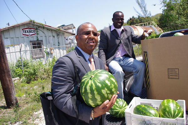 Melon
