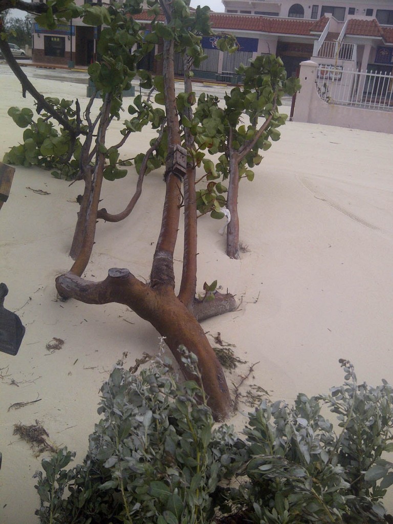 IMG-20121026-01020