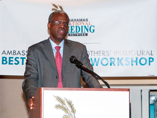 John Rolle, Financial Secretary in the Ministry of Finance addresses the attendees of the Frank Crothers Inaugural Best Practices Seminar hosted by the Bahamas National Feeding Network speaking on VAT and its effects on charities. (Photo by Derek Smith Jr.)