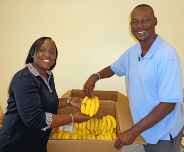 MORE than 2,500 pounds of bananas were presented to schools and charities in North Andros by the Bahamas Agriculture and Marine Science Institute (BAMSI). The donations were part of its focus on the United Nation’s World Food Day October 16. The purpose of the day is to help global communities readjust their outlook in the fight against hunger, and provides them an opportunity to commit to the eradication of hunger in their lifetime. Pictured above are BAMSI’s Farm Manager Everton Parkes (right) as he presents two boxes of bananas to the Institute’s Executive Director Dr. Raveenia Roberts-Hanna as part of a special gift to the Institute and the students.