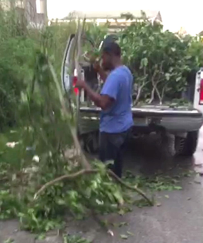 Another litterbug caught on camera throwing garbage in the street! Watch VIDEO!