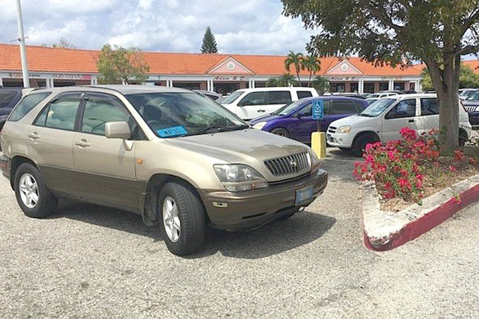 MP for Long Island Loretta Butler-Turner parks across a disable parking space.