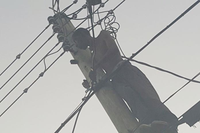 A troubled mind climbed an electricity pole on Market Street this morning.