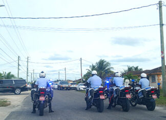 There must be a serious review of the use of NATIONAL ASSETS -particularly those assets managed by Police!