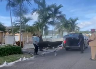 Man killed himself at his Westridge home following a round of depression