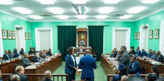 Parliament welcomes Golden Isles MP Darron Pickstock!