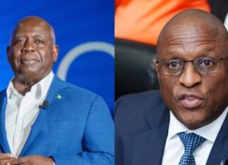 DAVIS ON PINTARD: THE OPPOSITION WANTS A RETURN TO A COLONIAL MINDSET