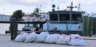 RBDF Recovers 12 Suspected Bales of Hydroponic Marijuana Near Fresh Creek, Andros