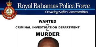 Male gunned down in 42nd homicide was once wanted by police!