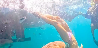 WOMAN BITTEN BY SHARK IN BIMINI