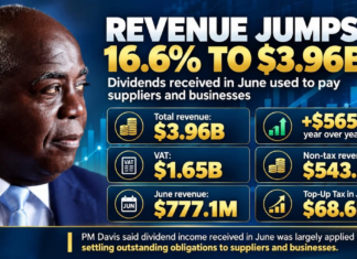 GOVERNMENT REVENUE JUMPS 16.6% TO $3.96B; DIVIDENDS USED TO PAY SUPPLIERS