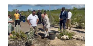 King Charles visits Bonefish Pond, plants tree